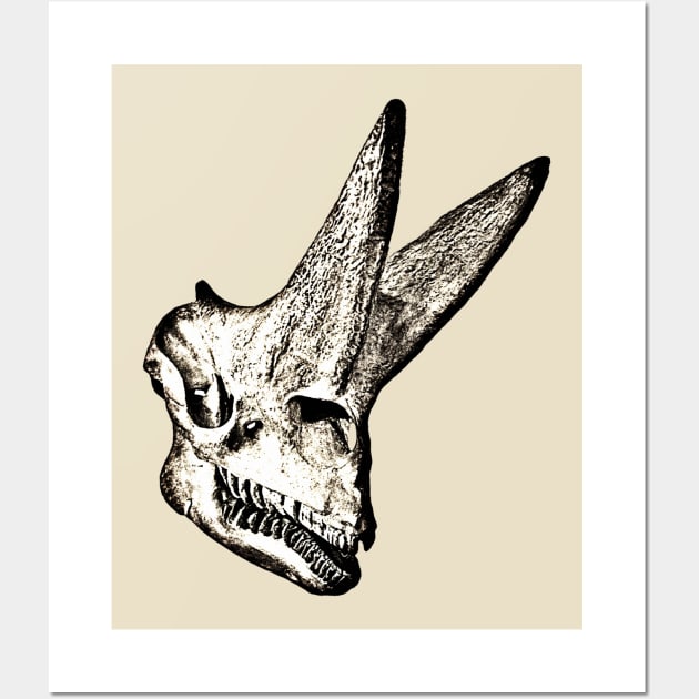 Dinosaur Skull Mono Wall Art by MaksciaMind